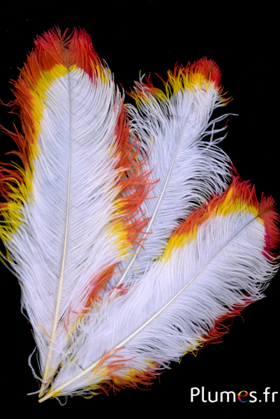 Struzzo - 45-55 cm - bianco-giallo-rosso Struzzo - 45-55 cm - bianco-giallo-rosso